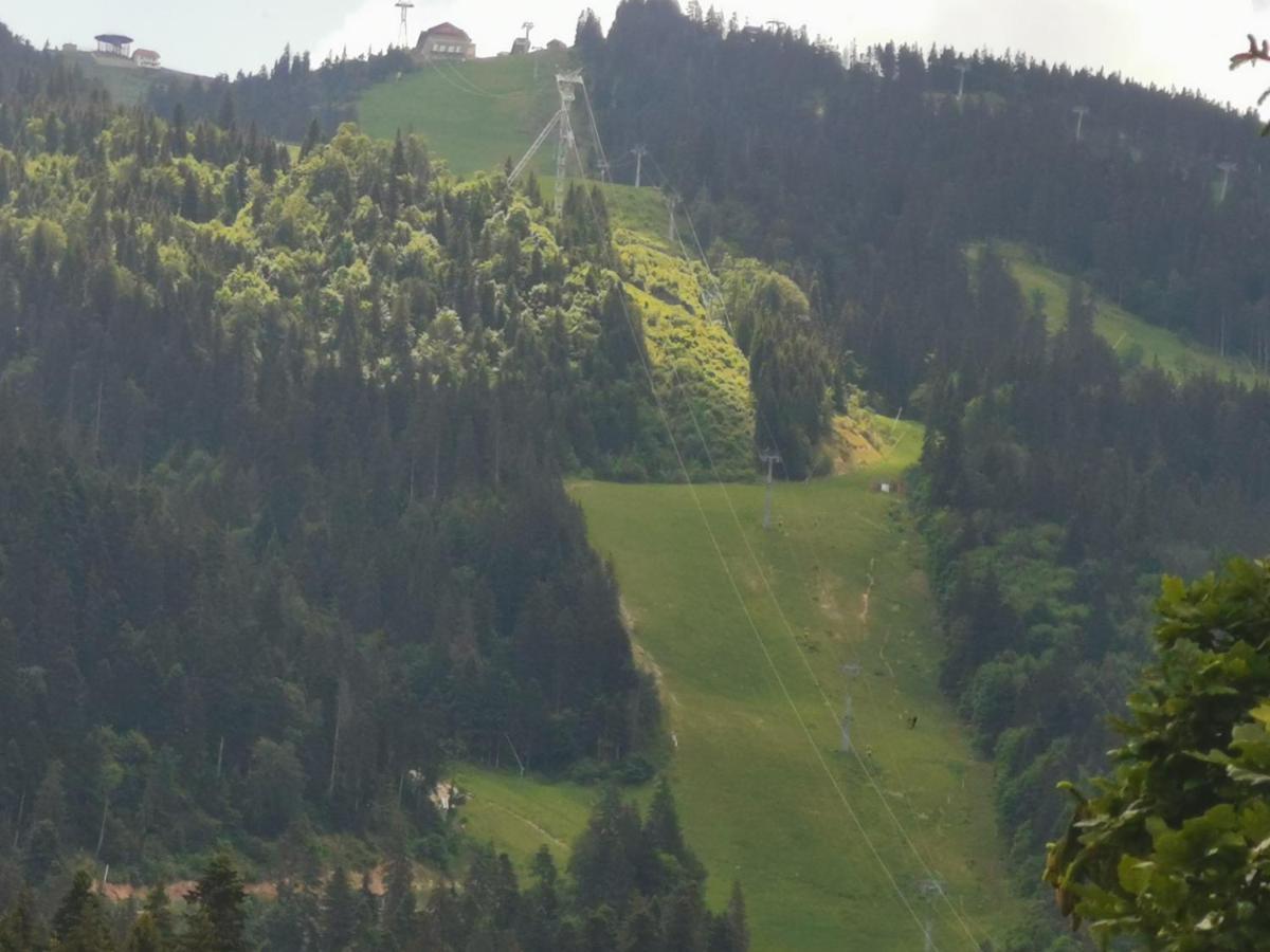 Pension Condor Poiana Brasov Bagian luar foto