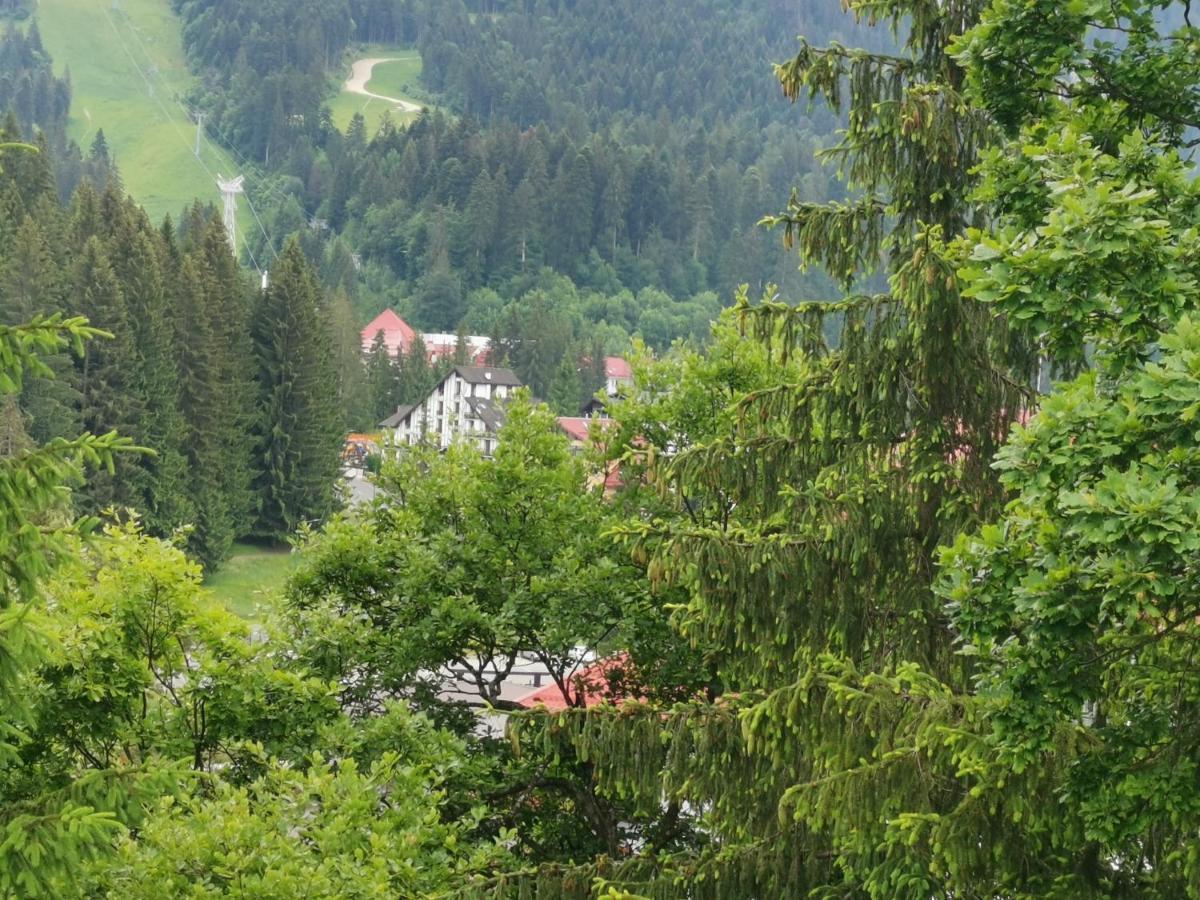 Pension Condor Poiana Brasov Bagian luar foto