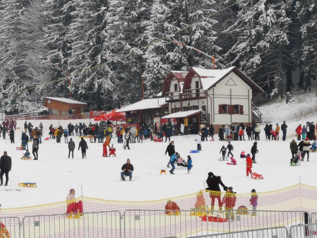 Pension Condor Poiana Brasov Bagian luar foto