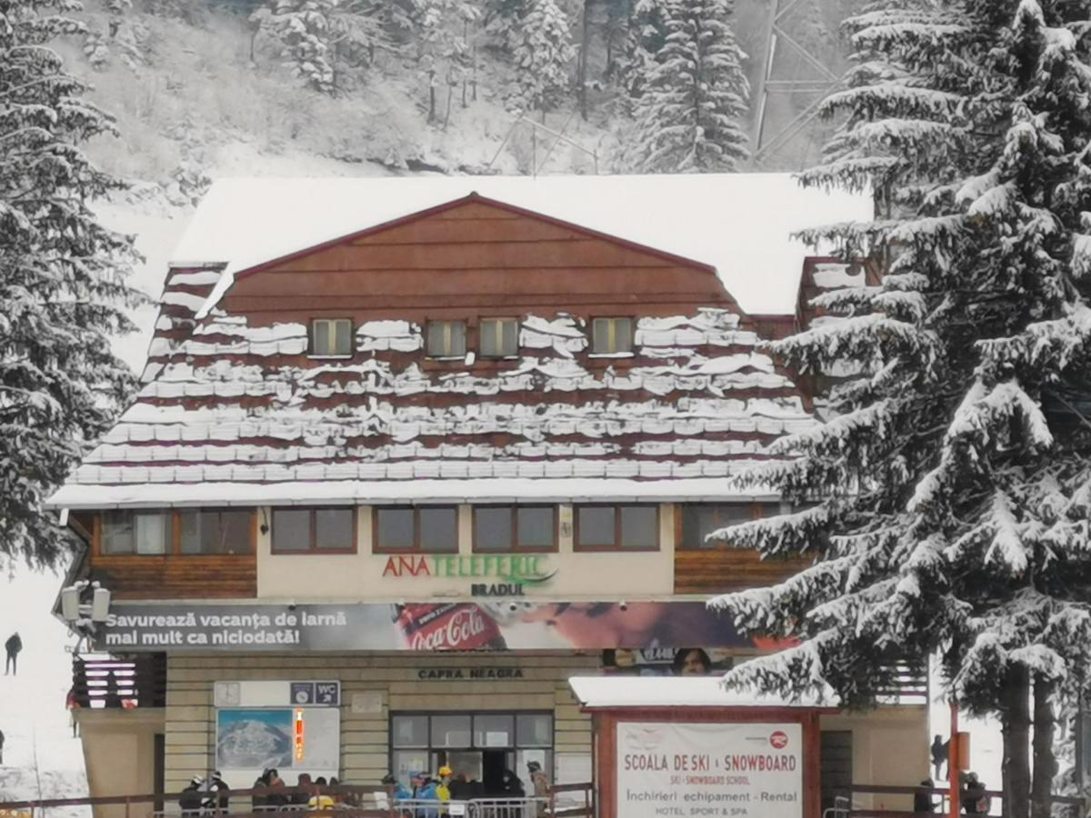 Pension Condor Poiana Brasov Bagian luar foto