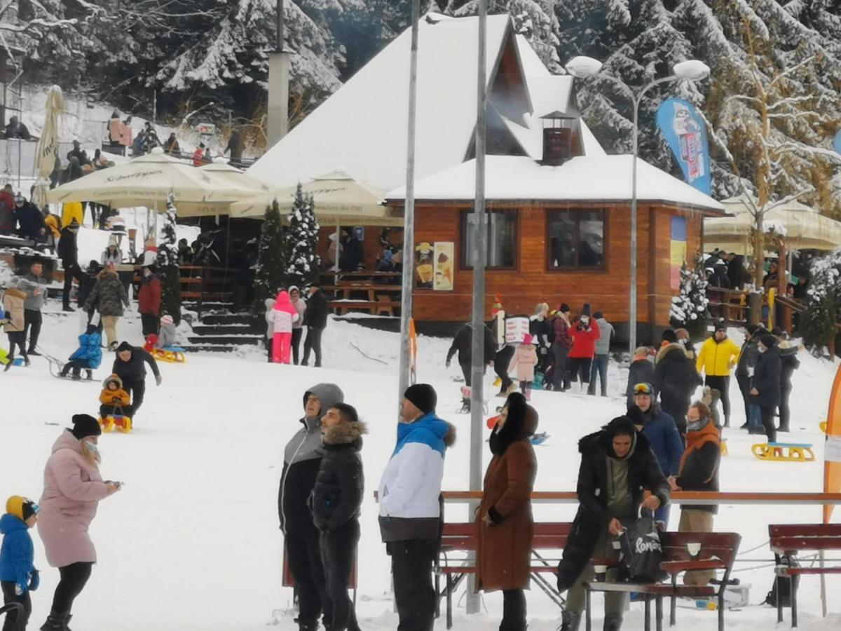 Pension Condor Poiana Brasov Bagian luar foto