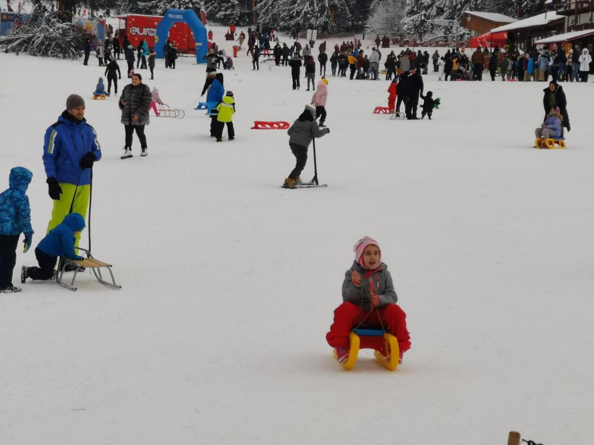 Pension Condor Poiana Brasov Bagian luar foto