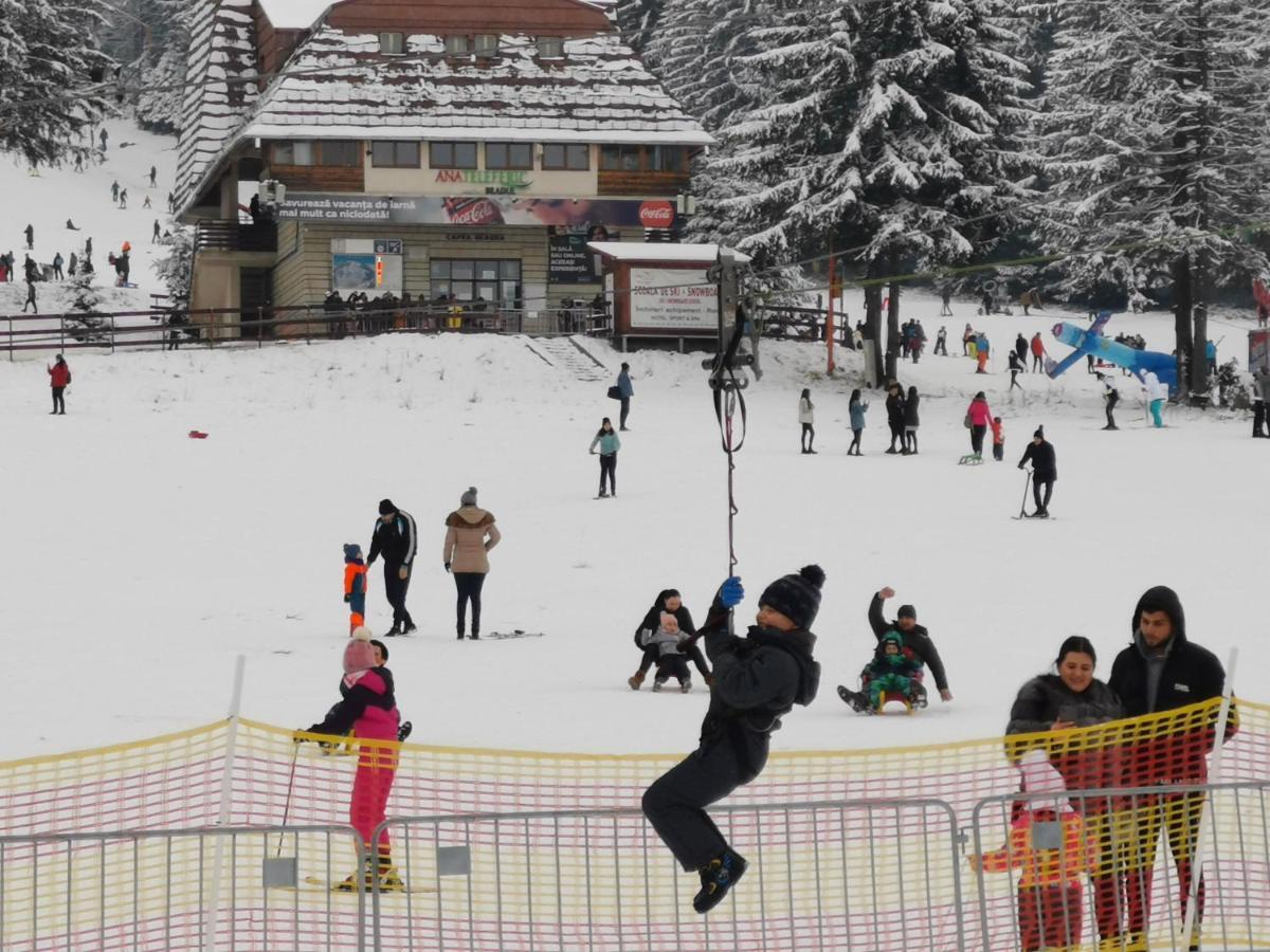 Pension Condor Poiana Brasov Bagian luar foto