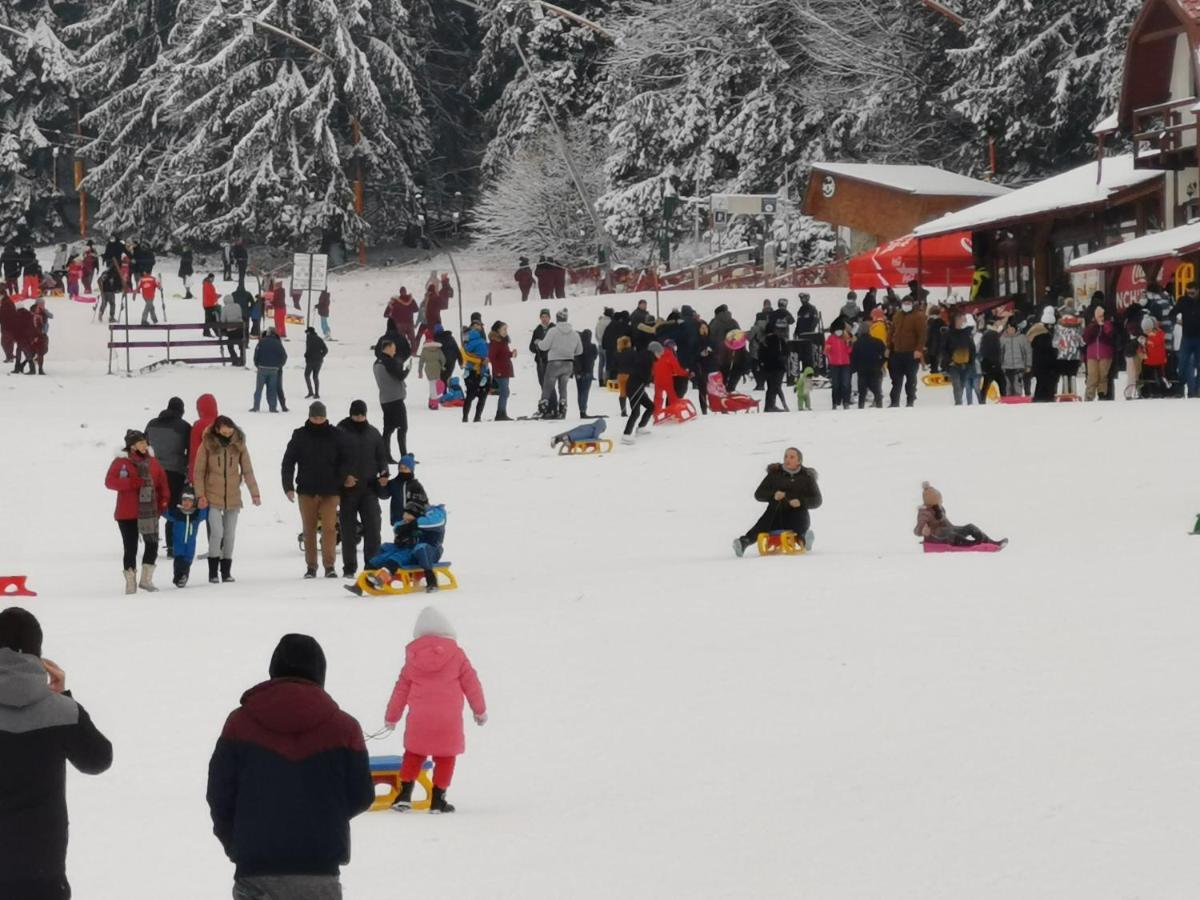 Pension Condor Poiana Brasov Bagian luar foto