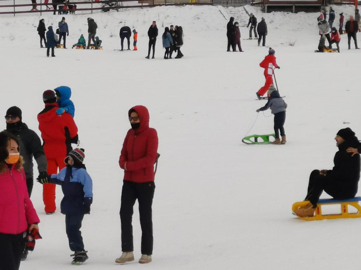 Pension Condor Poiana Brasov Bagian luar foto