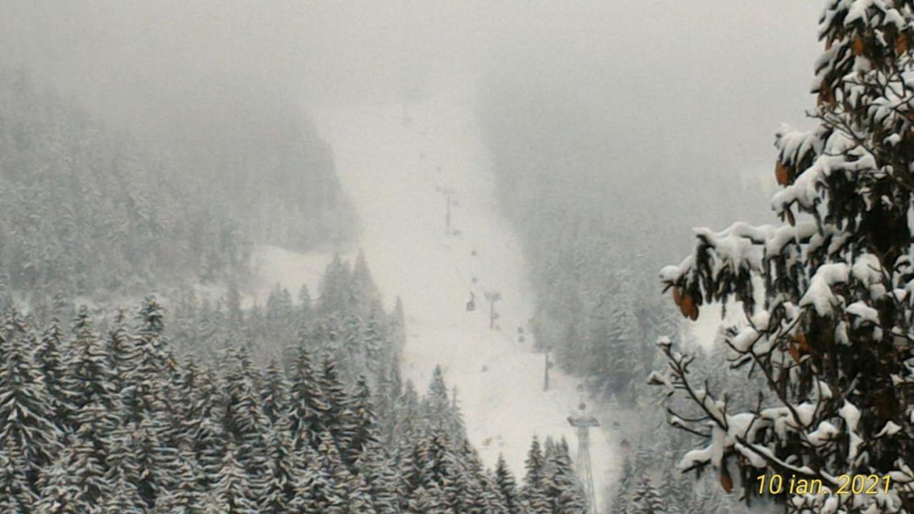 Pension Condor Poiana Brasov Bagian luar foto