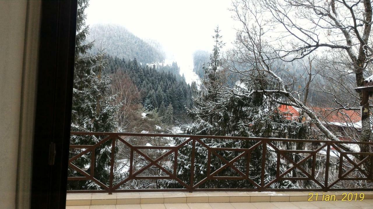 Pension Condor Poiana Brasov Bagian luar foto